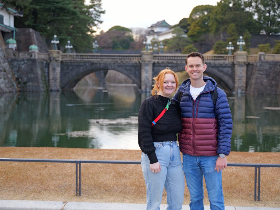 Giraffes in a safari